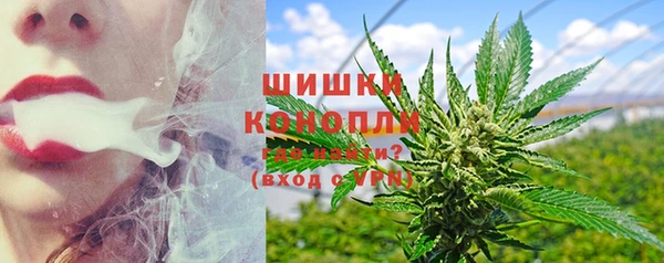 ПСИЛОЦИБИНОВЫЕ ГРИБЫ Фурманов
