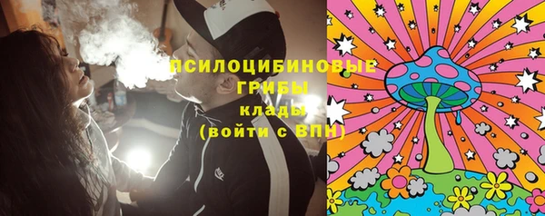 ПСИЛОЦИБИНОВЫЕ ГРИБЫ Фурманов